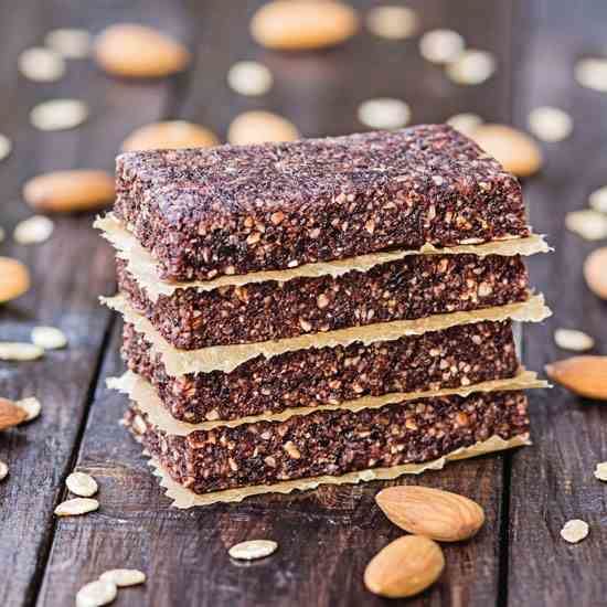 Pemmican Pemmican Protein Bar Recipe Real Food MOTHER EARTH NEWS