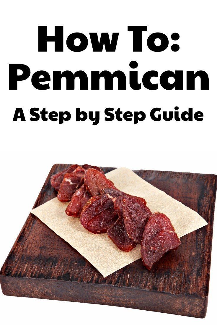 Pemmican How to make Pemmican A DIY Guide