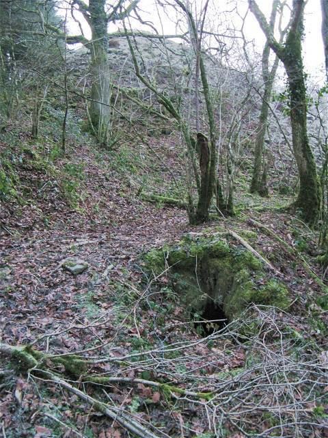 Pencader Tunnel Escape route emerges from Pencader Nigel Davies Geograph