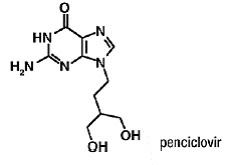 Penciclovir Denavir Penciclovir Side Effects Interactions Warning Dosage