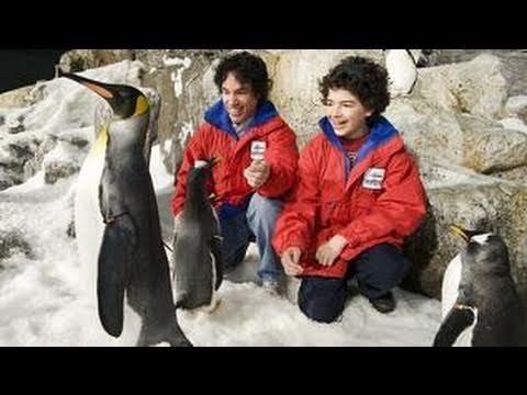 Penguin Encounter httpsiytimgcomviNpbflKXX4hwhqdefaultjpg