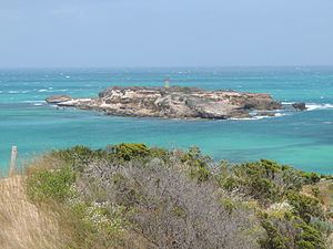 Penguin Island (South Australia) httpsuploadwikimediaorgwikipediacommonsthu