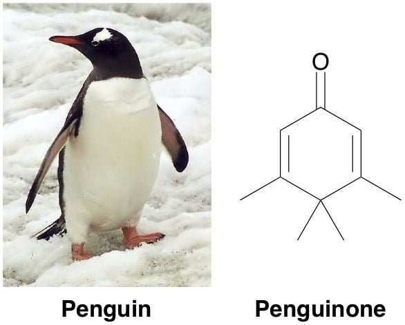 Penguinone Cutest Molecule Ever I Can Has Science