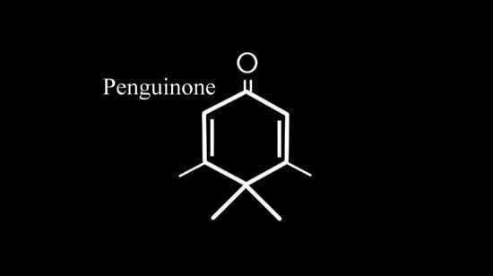 Penguinone Weird Science on Twitter quotPenguinone is a chemical compound so