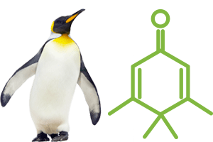 Penguinone Penguinone