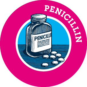Penicillin Penicillin on emaze