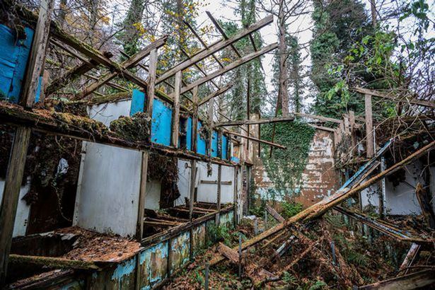Penscynor Wildlife Park These haunting pictures show childhood favourite wildlife park as it