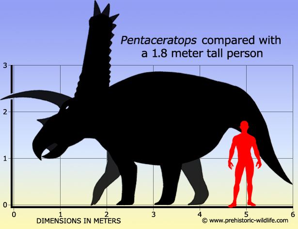 Pentaceratops Pentaceratops
