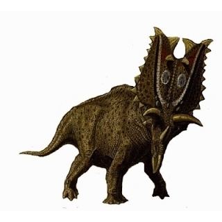 Pentaceratops Pentaceratops paleofilescom