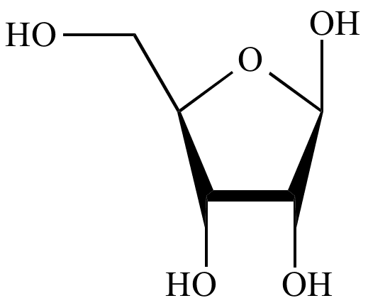 Pentose Illustrated Glossary of Organic Chemistry Pentose