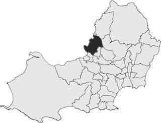Penyrheol (electoral ward)