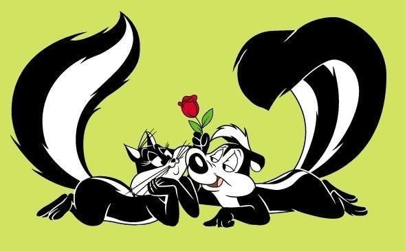 Pepé Le Pew 78 images about Pepe Le Pew on Pinterest Best cartoons