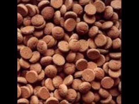 Pepernoot Pepernoot Taaitaai Chocola YouTube
