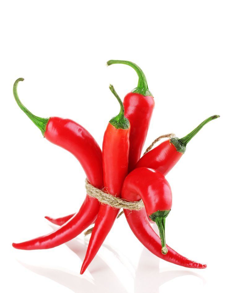 Peperoncino rivistenewbusinessmediaitwpcontentuploadssit