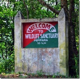 Peppara Wildlife Sanctuary Trip to Peppara Dam Palode Botanical Garden Dukes Forest Lodge and