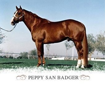 Peppy San Badger PEPPY SAN BADGER Open Spear Ranch