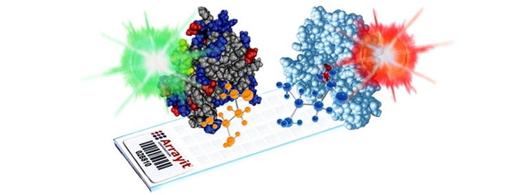 Peptide microarray Arrayit Corporation ARYC Services Peptide Microarray