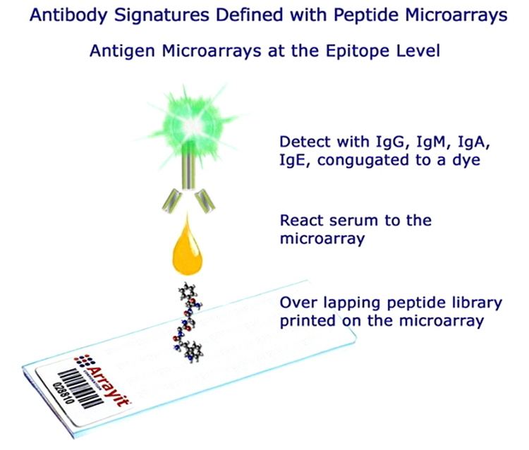 Peptide microarray Arrayit Corporation ARYC Services Peptide Microarray