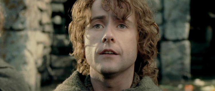 Peregrin Took What Happened To LOTR Characters After The Movies I Had No Idea