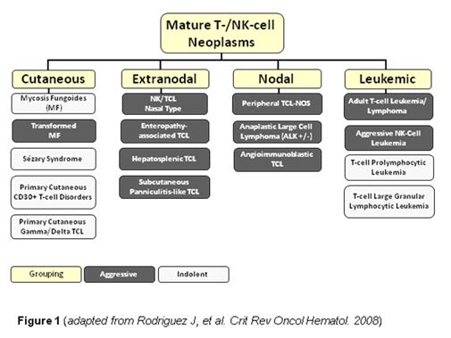 Peripheral T-cell lymphoma not otherwise specified