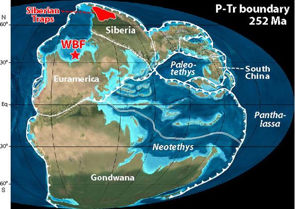 Permian–Triassic extinction event Global Extinction Gradual Doom as Bad as Abrupt SpaceRef