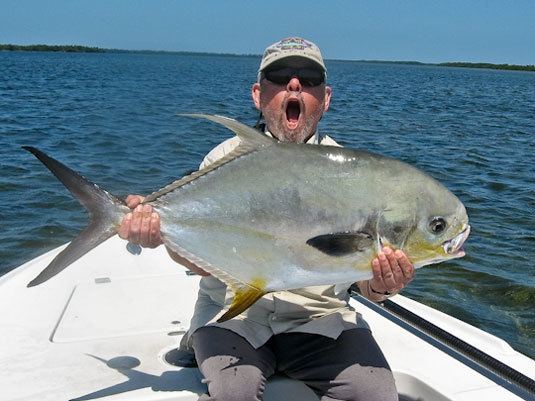 Permit (fish) permit fish Big Pine Key fishing guide Jeff Belsik