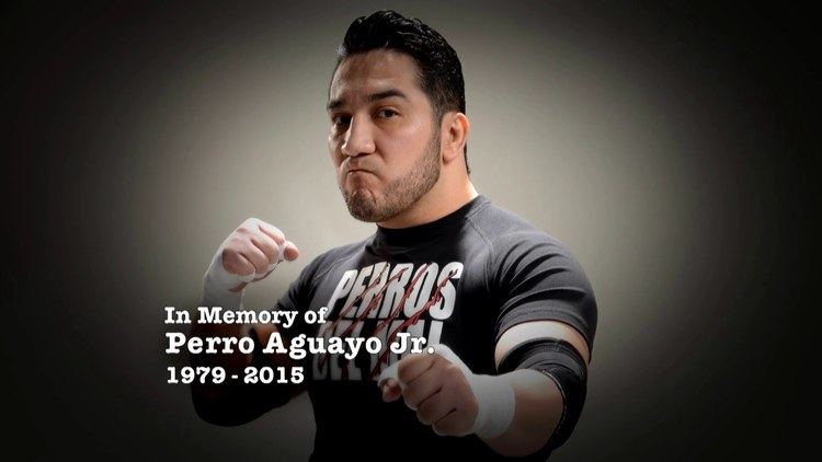 Perro Aguayo Lucha Underground Tribute to Perro Aguayo Jr YouTube