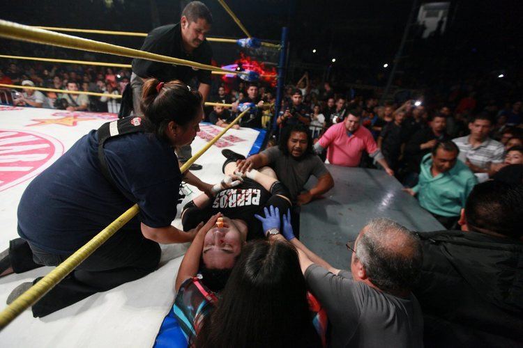 Perro Aguayo Jr. Pro wrestler Perro Aguayo Jr dies during match with Rey