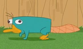Perry the Platypus Perry the Platypus Wikipedia