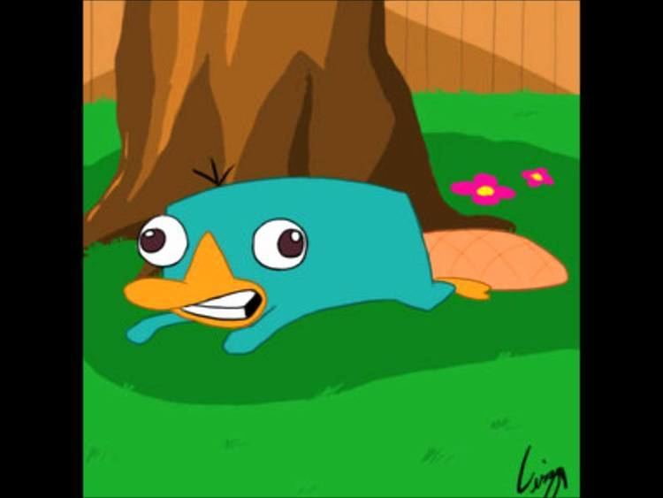 Perry the Platypus Perry the Platypus Noise YouTube