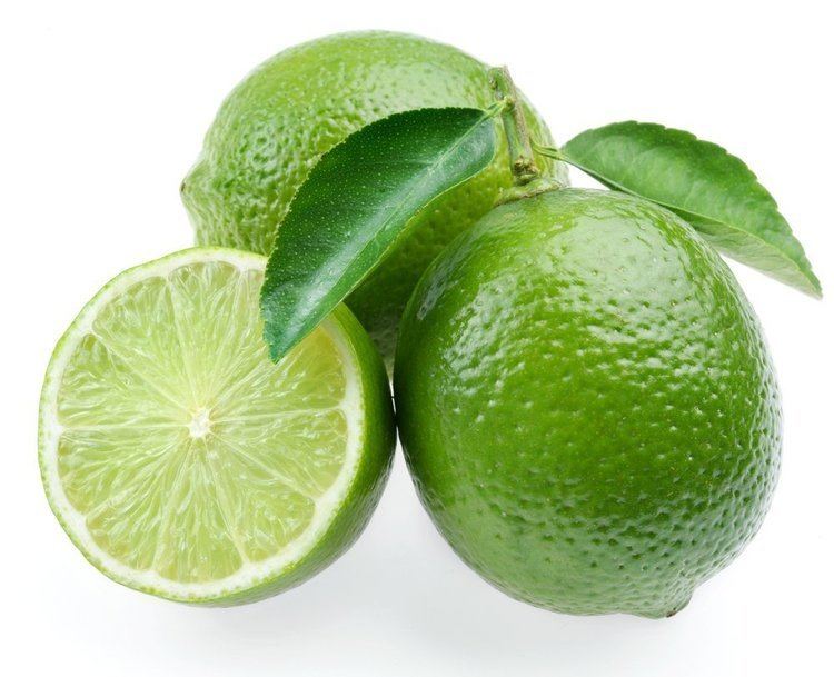 Persian lime Amazoncom Persian Lime Tree Fruit Bearing SizeWell Branched 8