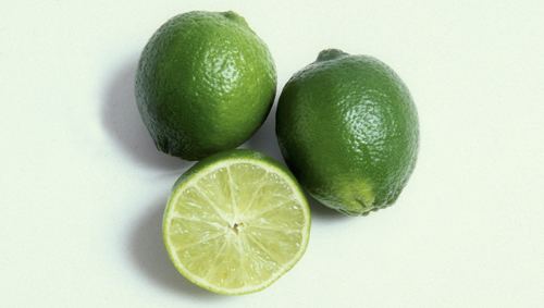 Persian lime TahitianPersian Lime Crops in Season Buy quotFresh From Florida