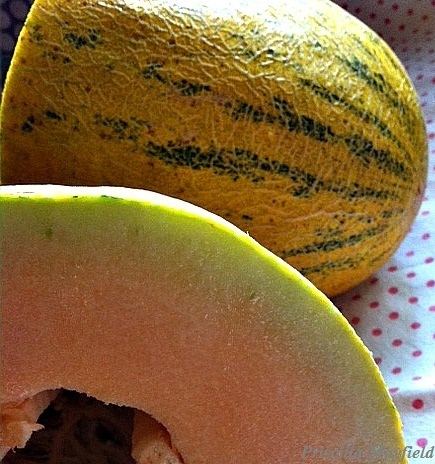 Persian melon Market Special Persian Melon Orange Coast