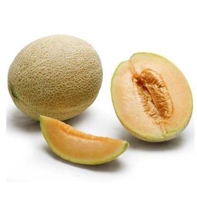 Persian melon Melon