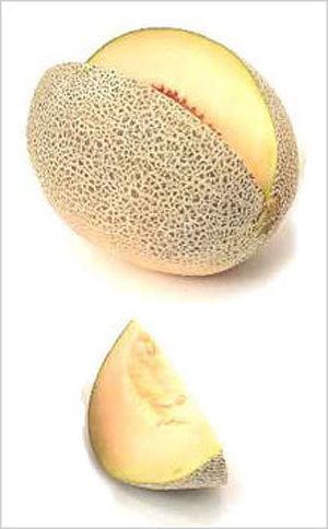 Persian melon wwwproduceoasiscomUploadspersianmelonjpg