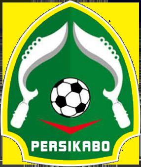 Persikabo Bogor httpsuploadwikimediaorgwikipediaenffaPer