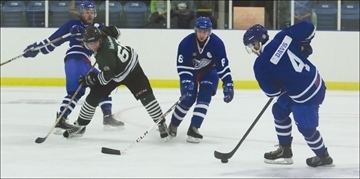 Perth Blue Wings Perth Blue Wings in exhibition action home opener Friday vs Renfrew