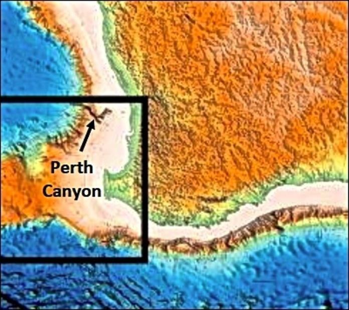 Perth Canyon Perth Canyon First Deep Exploration Schmidt Ocean Institute