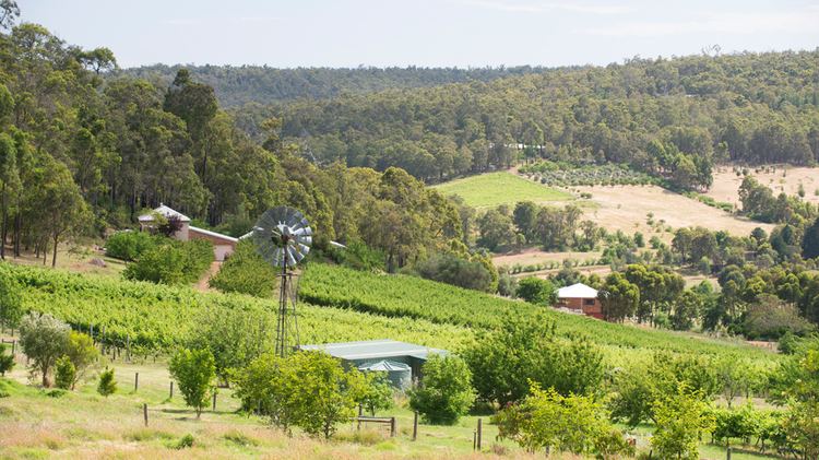 Perth Hills Perth Hills Wine Region Vine Collective