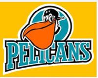 Perth Pelicans httpsuploadwikimediaorgwikipediaenthumb8