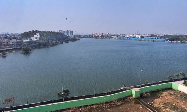 Perungudi Lake httpsuploadwikimediaorgwikipediacommonsaa