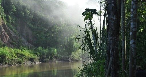 Peruvian Amazon Amazon Lodge Peru Goway