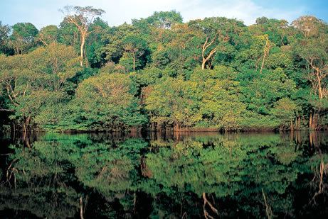Peruvian Amazon Sample the Peruvian Amazon Ker amp Downey Experiential Luxury