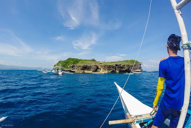 Pescador Island South Cebu Adventure Pescador Island and Sardines Run in Moalboal