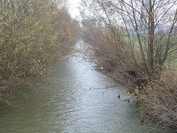 Pesnica (river) httpsuploadwikimediaorgwikipediacommonsthu