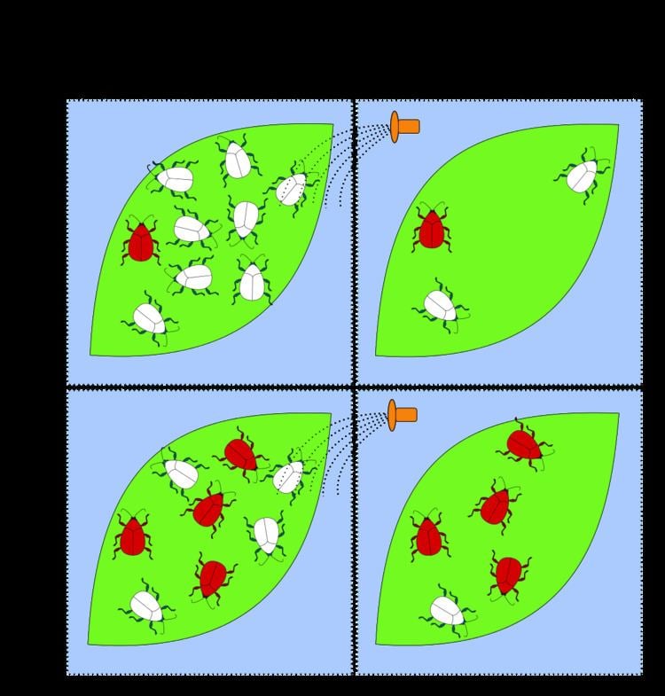 Pesticide resistance