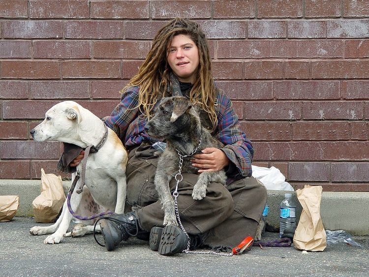 Pet ownership among the homeless