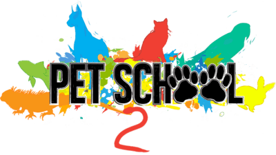 Pet School httpsichefbbcicoukchildrensresponsiveiche