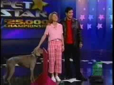 Pet Star Kyra Sundance amp Chalcy on Animal Planet39s Pet Star YouTube