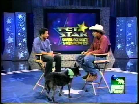 Pet Star Skidboot on Pet Star YouTube